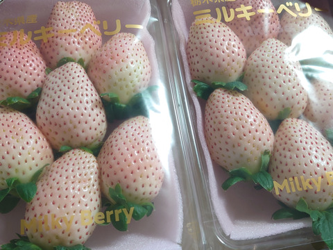 『ミルキーベリー』フレーズのこだわりいちご270×2パック