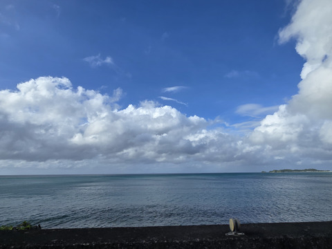 パインの最高峰🍍ジューシーで極上の甘さ！沖縄県産『ゴールドバレル』（大玉）2.0kg~  1玉