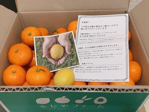 【今年は絶品！】大崎上島　温州みかん　5kg （50個前後）甘さ凝縮の良い瀬戸内の本命！