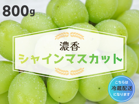 糖度抜群！種なしシャインマスカット　2房(約800g)　『クール便』