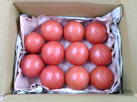 【まるでドレッシングを食べる器】毎日の料理を引き立てる！赤熟もぎり『豊潤とまと』小玉１１玉詰め