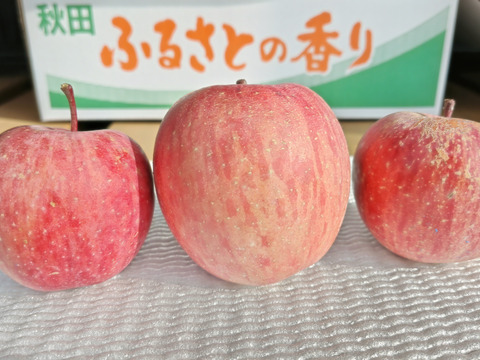 食べきりサイズのかわいい小玉「ふじ」3キロ