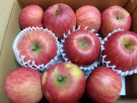 信州りんご🍎４キロパック詰め