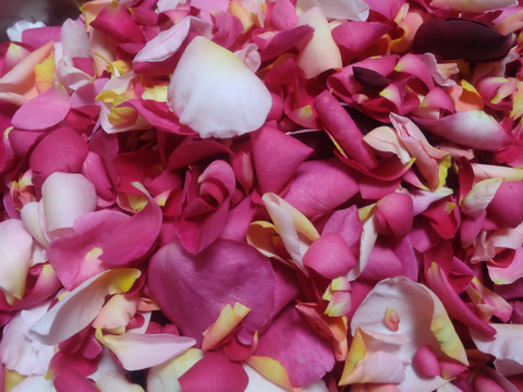 【母の日ギフトに】ローズアフタヌーンティセット