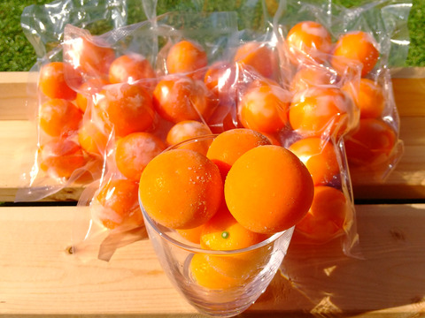 シャキッと美味しい 2kg冷凍キンカン 鹿児島県産 食べチョク 農家 漁師の産直ネット通販 旬の食材を生産者直送