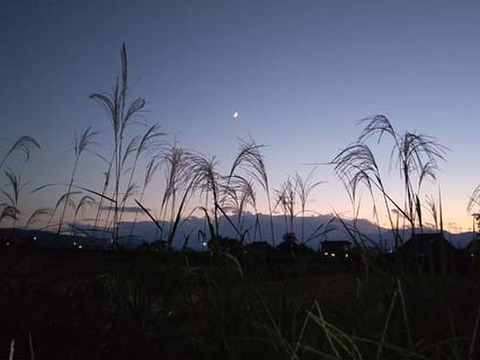 【真空パック】アフコ・秋山農場のPB『Riki-Saku』新潟コシヒカリ!2Kg×2袋（毎日おいしい・からだ満足）冷めると甘みが増します。【定期便】