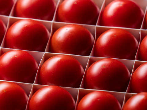 【母の日限定】濃厚フルーツトマト「ポモ・ロッサ」（15粒入り 母の日パッケージ）