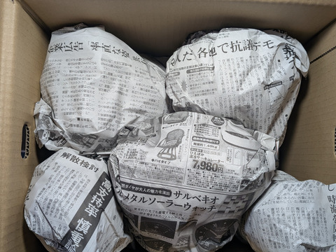 ふじリンゴ家庭用