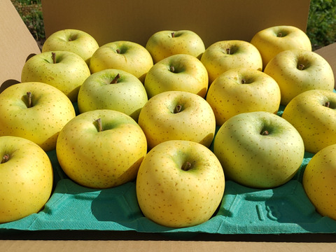 売り切れゴメン！超特価！10/26(日)までの限定２０セット！青森県産のきおう５kg