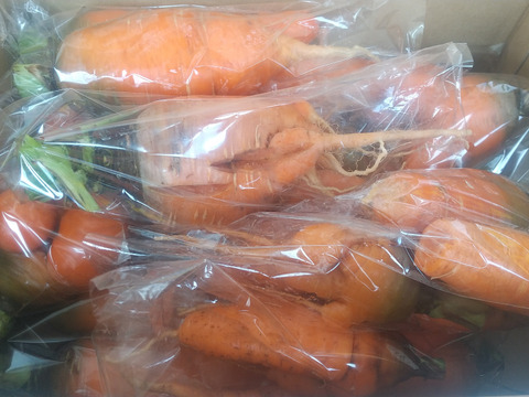 訳あり、自然栽培の人参5kg