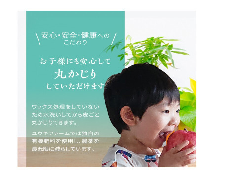 青森県弘前市産りんご 『新登場』『夢のコラボ』『代々受け継いだ懐かしい自然の味』蜜入り糖度１３度以上 家庭用完熟葉とらずサンふじ、王林ミックス約5kg18個〜23個入り