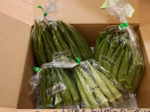 【朝どれ】オクラ 2〜4品種セット1kg【栽培期間中　化学肥料化学農薬不使用】