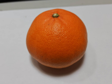 せとか★家庭用4.3K