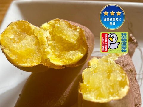 今期最終📣温室効果ガス削減・特別栽培認証🎖️【自然栽培🍠熟成シルクスイート（約１.５kg）】滑らかな舌触り・焼き芋にオススメ！
