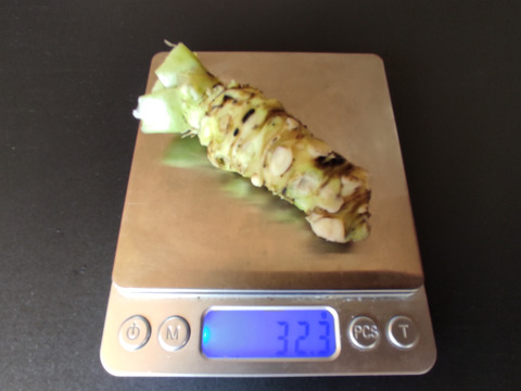 太陽と大地の恵み、岩手県産「わさび」