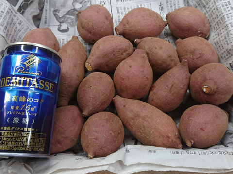 【お試し】国産バナナ プチサイズ1.8kgと安納芋2Sサイズ2kg【セット】