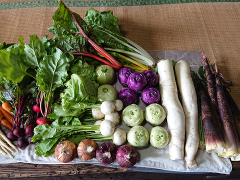 ♪食べきり♪『農薬、化学肥料不使用』【1~2人前】季節の野菜SSセット（5～6品）「群馬県高崎産」