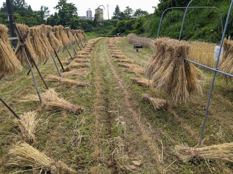 うどん　(乾麺)200g×4袋