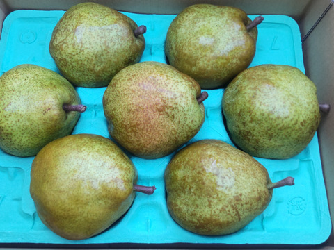 【ラフランス３ｋｇ】お好みの硬さをドンピシャで明示。皮ごと食べられる大玉ラフランス②【秀品】