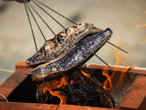 【日戻りケンケン漁】静岡県遠州灘産カツオ極藁燻し１節【外は燻製、中はレア】