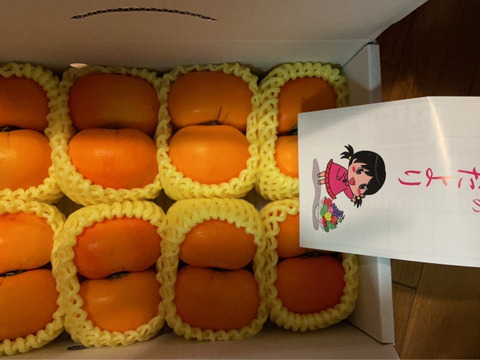 まるせい果樹園の柿　刀根早生　訳あり　2.5キロ　（8～16個）自家用　家庭用 kt1