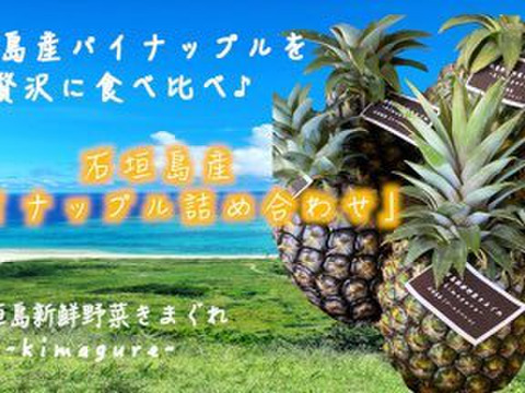 お任せ規格外パイナップル詰め合わせ