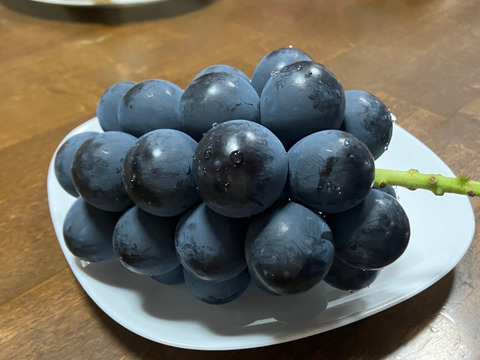 【プレミアムギフト】シャインマスカット・ナガノパープル