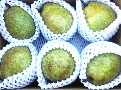 【ラフランス２ｋｇ】お好みの硬さをドンピシャで明示。皮ごと食べられる大玉ラフランス【秀品】