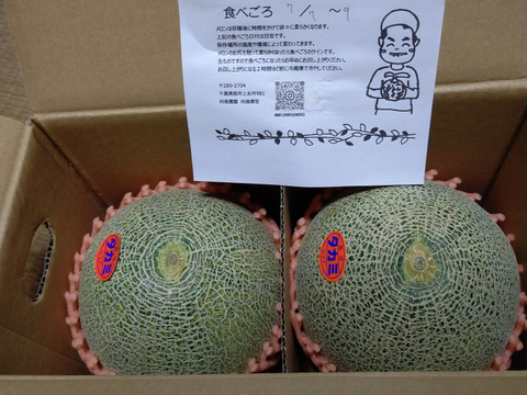 【限定品！大玉赤肉2玉入り！】高糖度が自慢のタカミメロン！
※6月下旬頃発送予定。栽培数が少ないため生育状況を見ながら再販などをしております。
