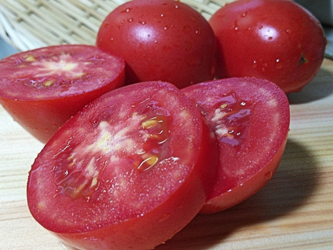 色鮮やか！リコピンいっぱいの国産イタリアントマトで作る冷凍トマトピューレ1kg　食品添加物、保存料、着色料不使用！