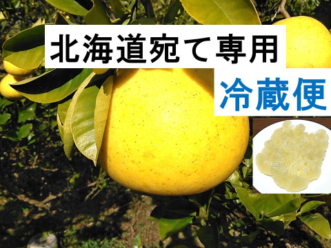 化学合成農薬栽培期間中不使用　土佐文旦　A品(農園独自基準)　3L～4Lサイズ　10kg(15個前後)　文旦の本場👑高知県土佐市産！　“北海道への配送専用商品です”