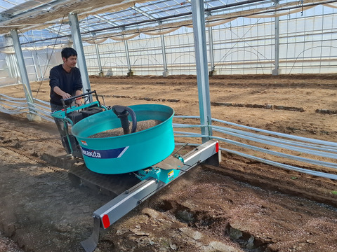 洗ってお皿に盛り付けるだけの『サラダセット』50g×10袋