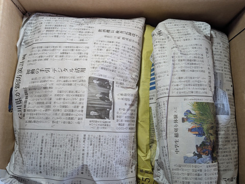 野菜(白菜、ネギ)、お米、リンゴの詰め合わせ