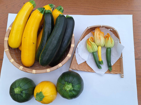 ズッキーニ　野菜　農薬不使用　農家直送 ズッキーニ野菜農薬不使用農家直送