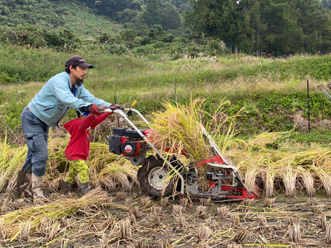 赤穂もちの切り餅　お正月にいかが？　農薬と化学肥料を使ってない栽培　天日干し