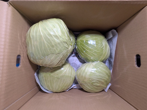 キャベツ、アスパラ菜、お米、リンゴ