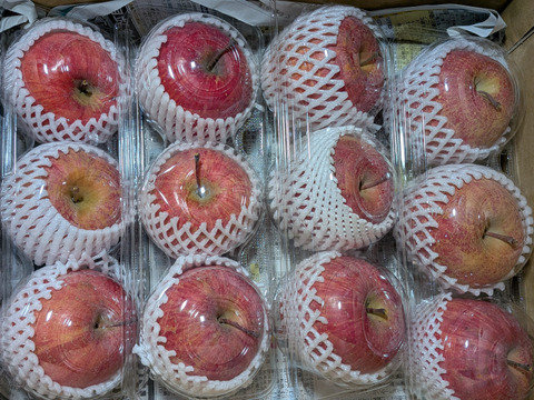 柿、洋ナシ、リンゴの箱詰め