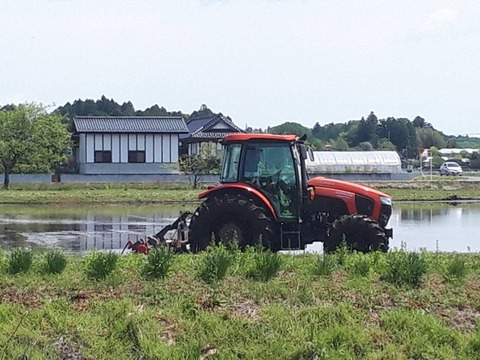 夏のアスパラガス　 Lサイズ 1kg