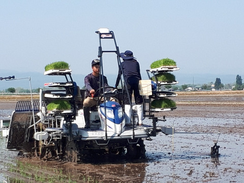 【JGAP認証】【秋田県特別栽培農産物認証】R３あきたこまち無洗米5㎏