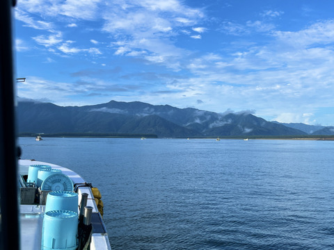獲れたてピチピチ！茹でたてプリプリ！
大正の無添加釜揚げしらす1キロ