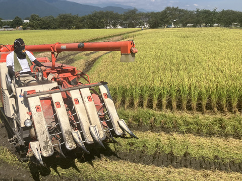 【令和７年産】低農薬栽培米　コシヒカリ　玄米　3kg　贈答用