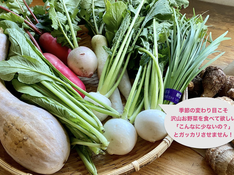 【自然栽培🍀100サイズ】お野菜大好き家族のための旬菜セットL【9品目前後】