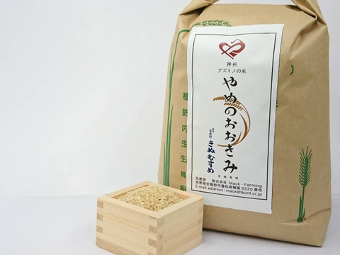 オメでたい頭でなにより　ご当地限定お土産　全種セット　まとめ売り 四角缶 タカラモノ TAKARAMONO｜ジュンリーケーク