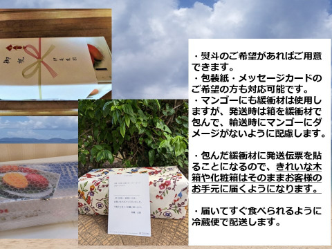 【予約】【7月中発送】沖縄県産マンゴー1キロ（2～3個入り）化粧箱入り
