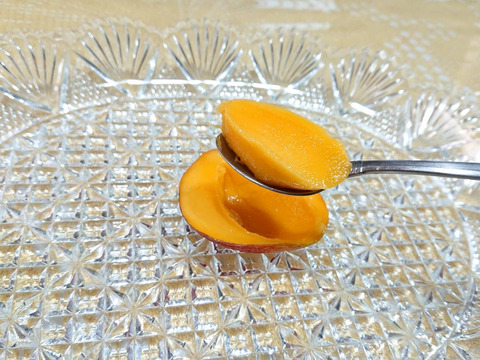 とろーり甘い！名護市最北端 イナミファームの家庭で楽しむ ミニマンゴー  1.5ｋg