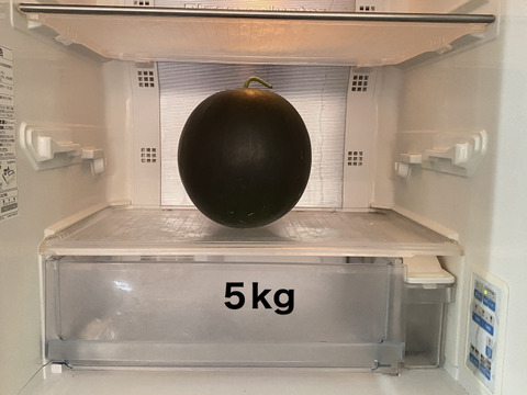 【自然栽培🍀固定種🍉黒小玉スイカ】5kg台（大きめ）シャリっと甘くてジューシー（１個）