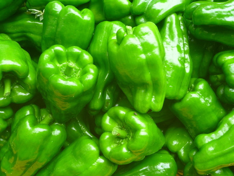 緑の力！夏バテさらば＊ピーマン30個～農薬/化学肥料・不使用