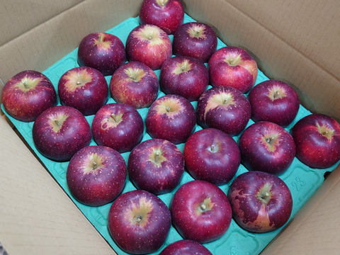 食べ切りサイズ！秋映（家庭用小玉）5ｋｇ