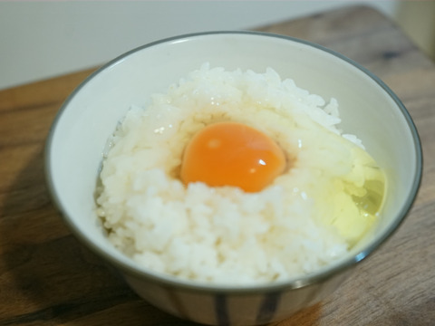【黒麹・50個】オレンジ色が鮮やか🎵濃厚な黄身🍳、黒麴育ちの赤たまご50個
