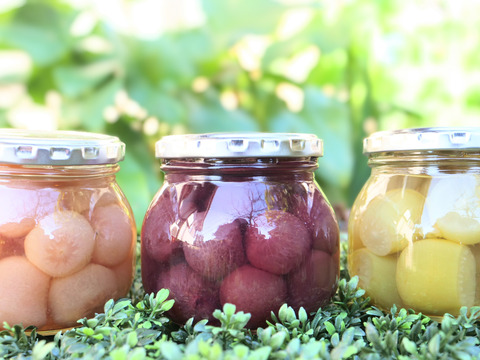 桃ジュース・3種のぶどうコンポート詰め合わせ〜SUGAOブランド〜